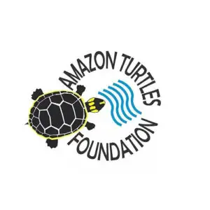 Amazon Turtles